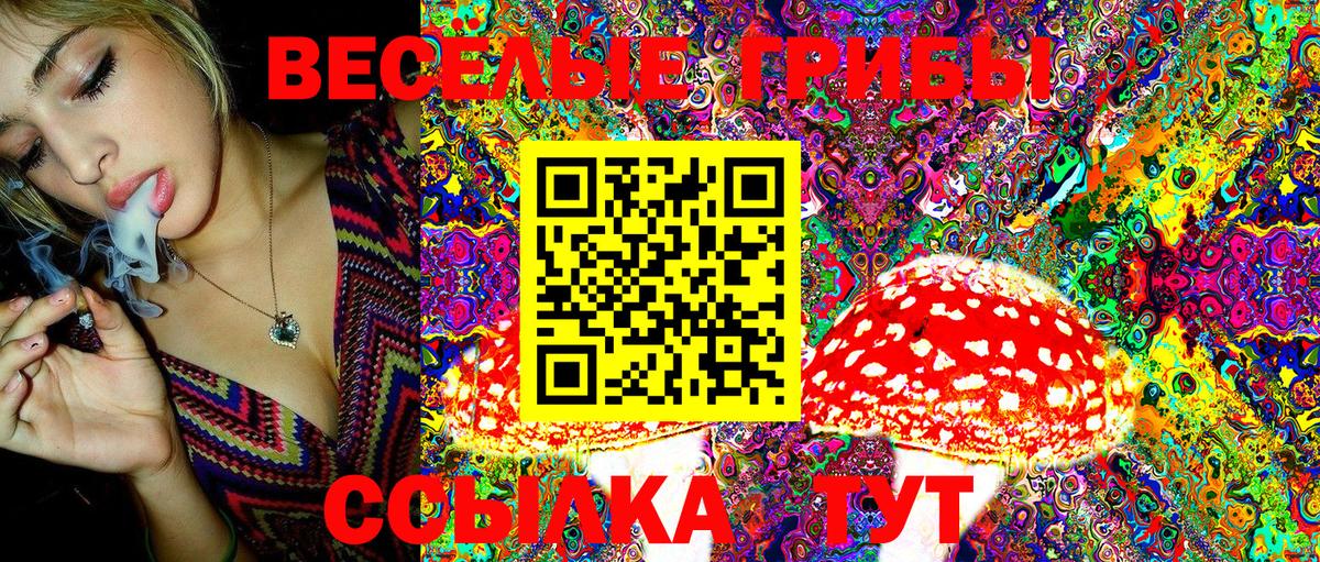 Псилоцибиновые грибы Magic Shrooms Артём