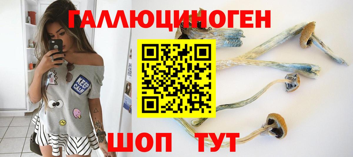 Альфа ПВП Артём
