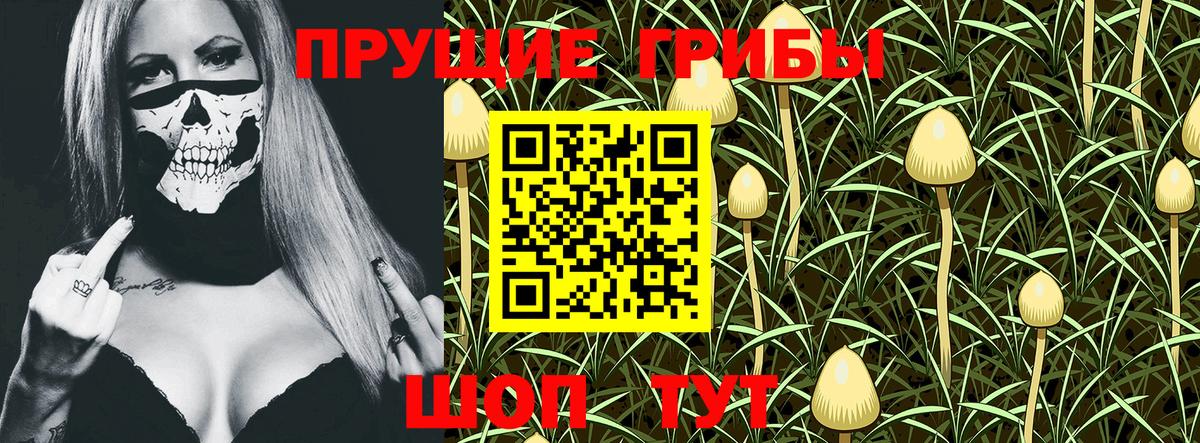 Галлюциногенные грибы GOLDEN TEACHER Артём