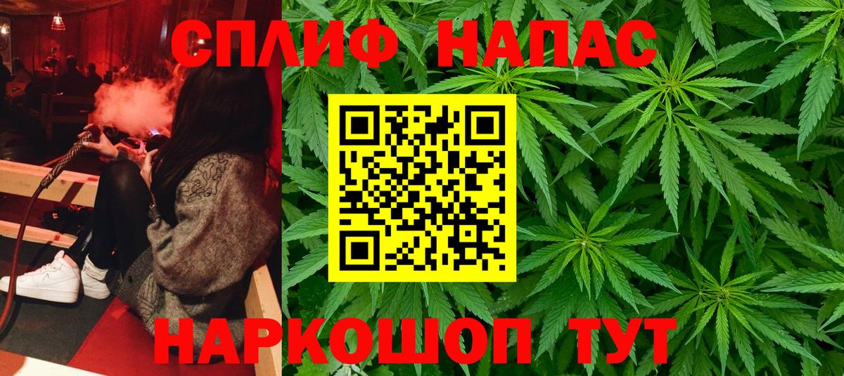 Конопля Amnesia  Марихуана планчик  Канабис семена  Артём 